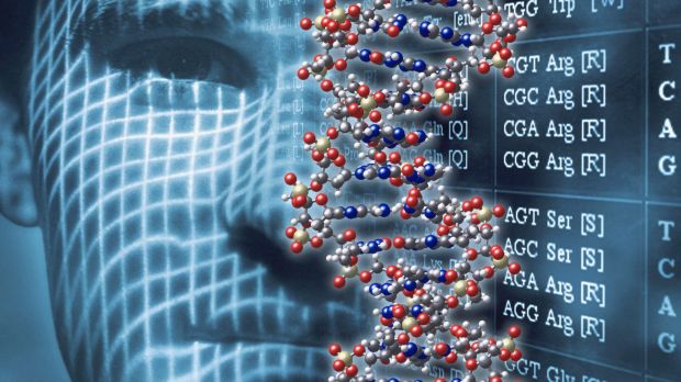 Filling in the blanks: Experts predict a day when an offender's DNA could be used to reveal their face.